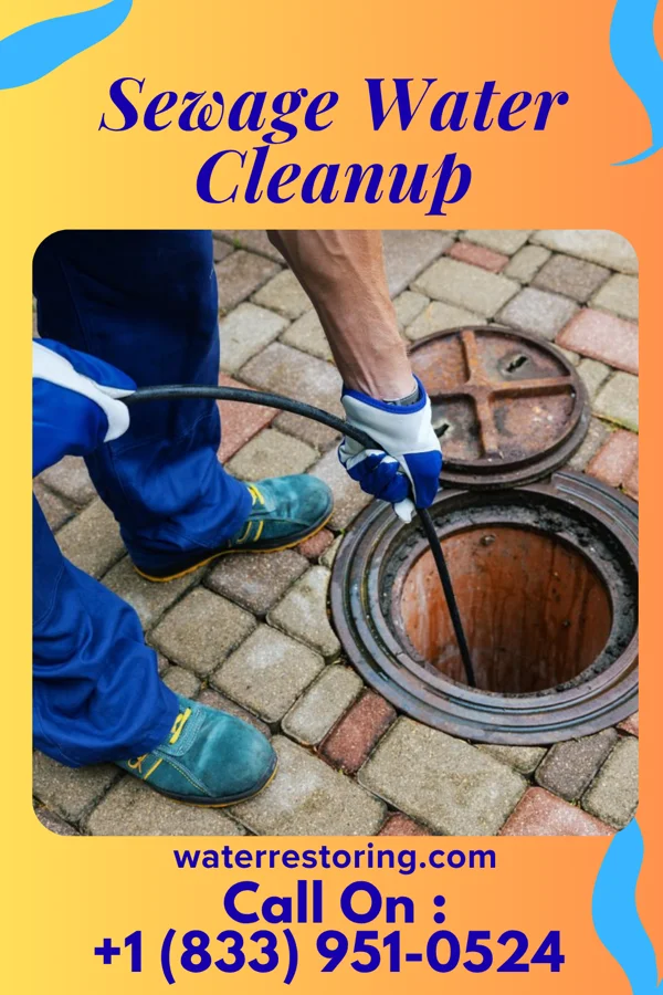 Sewage Water Cleanup in Mackinaw, IL