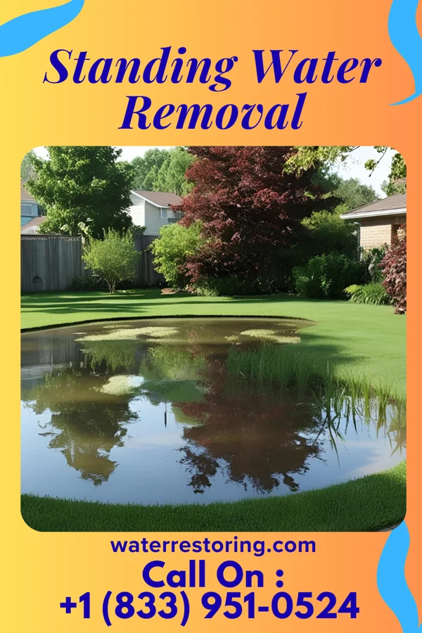 Standing Water Removal in Mackinaw, IL